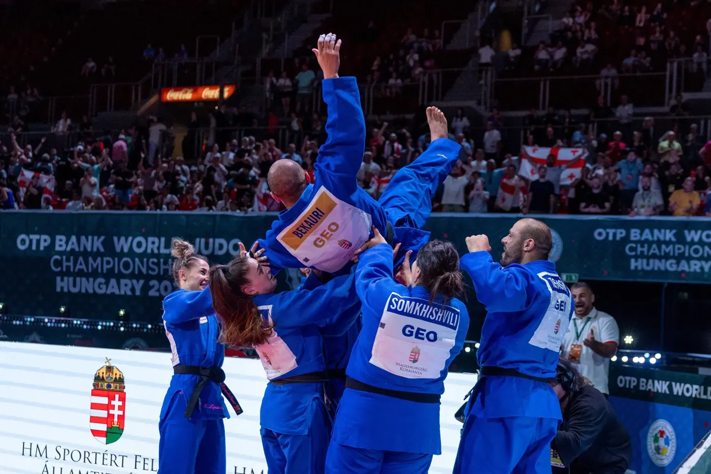 Banner image from the Georgian State University of Sport website