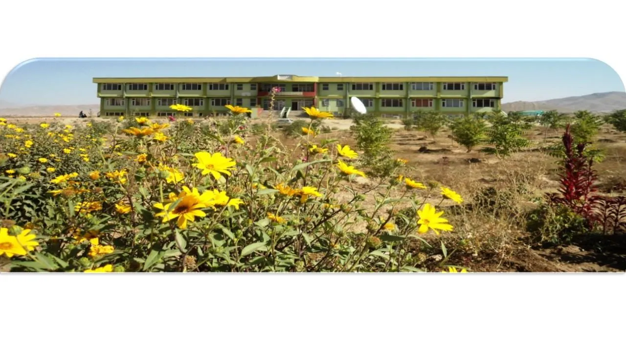 Banner image from the Ghazni University website