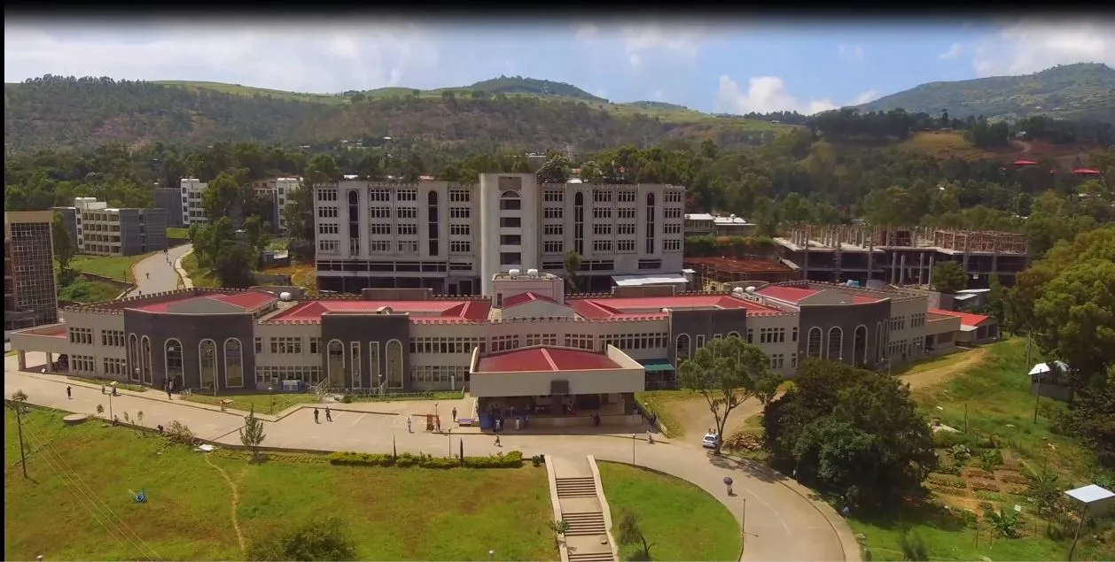 Banner image from the Gondar University website