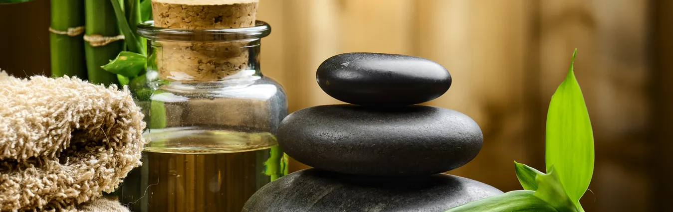 Banner image from the Goverment Siddha Medical College website