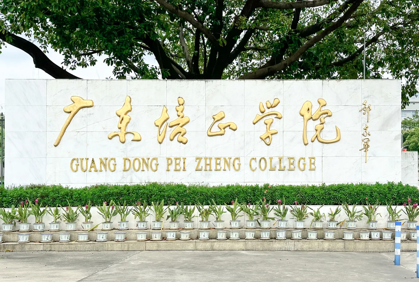 Banner image from the Guangdong Peizheng College website