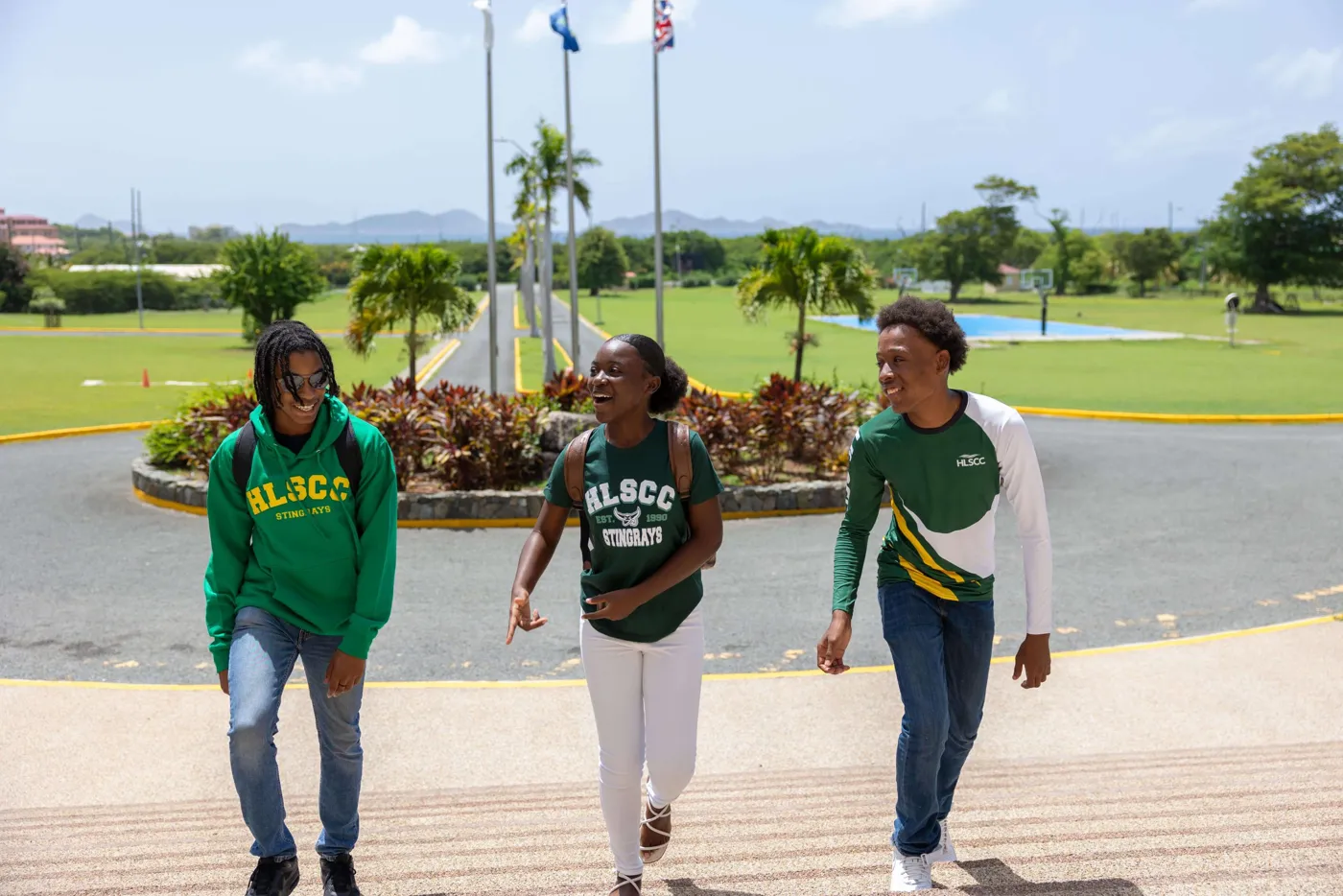 Banner image from the H. Lavity Stoutt Community College website