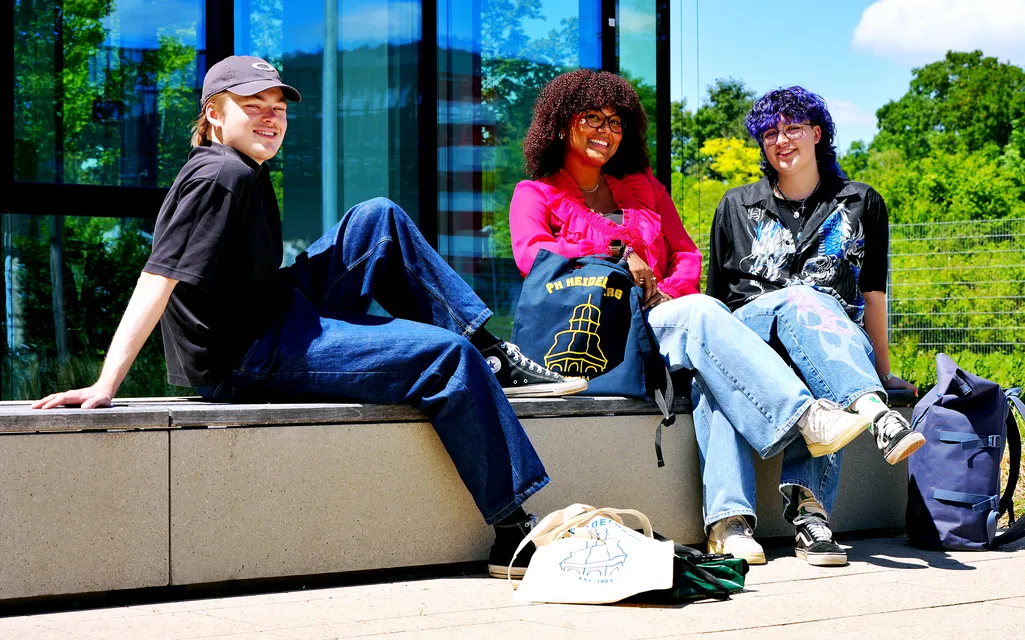 Banner image from the Heidelberg University of Education website
