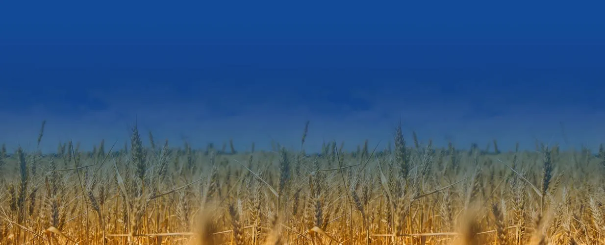 Banner image from the Horizon College and Seminary website