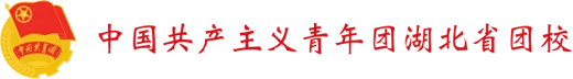 Hubei Youth Vocational College logo