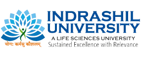 Indrashil University logo
