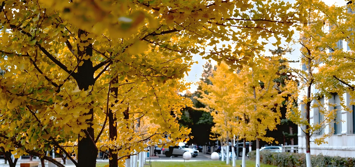 Banner image from the Inner Mongolia University of Technology website