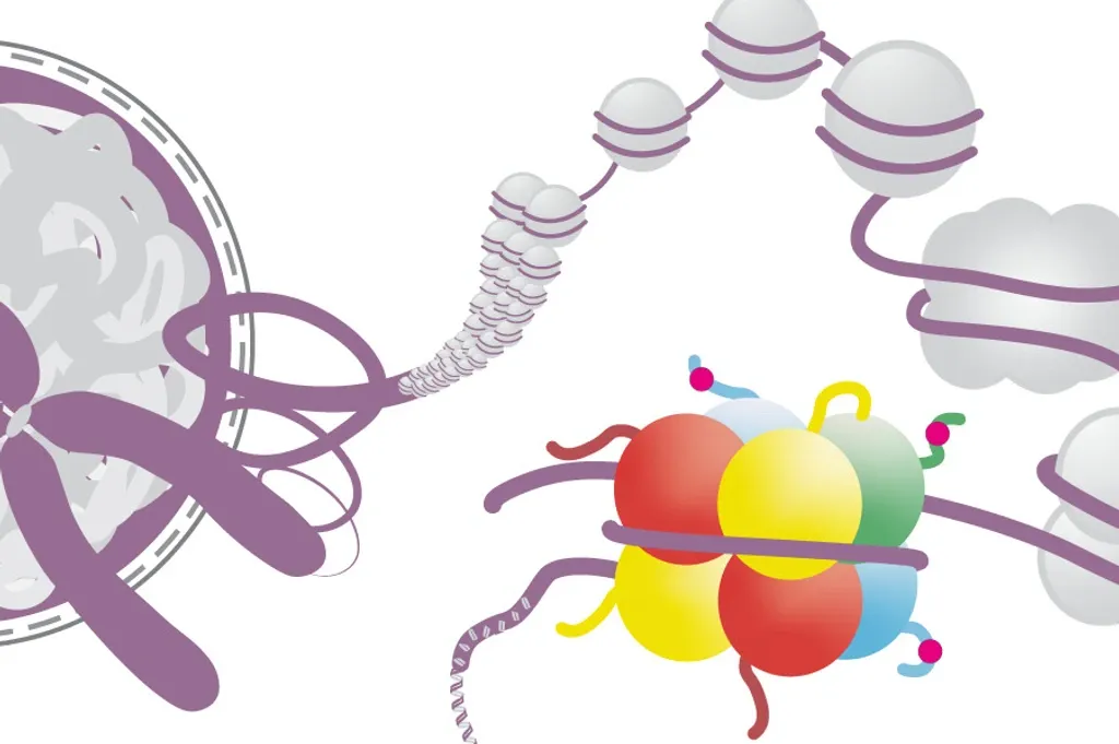 Banner image from the Institute of Functional Epigenetics website