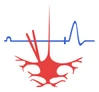 Institute of Physiology National Academy of Sciences of Belarus logo