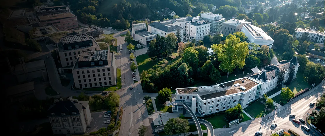 Banner image from the Institute of Science and Technology Austria website