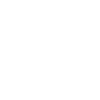 Instituto Brasileiro de Ensino, Desenvolvimento e Pesquisa logo