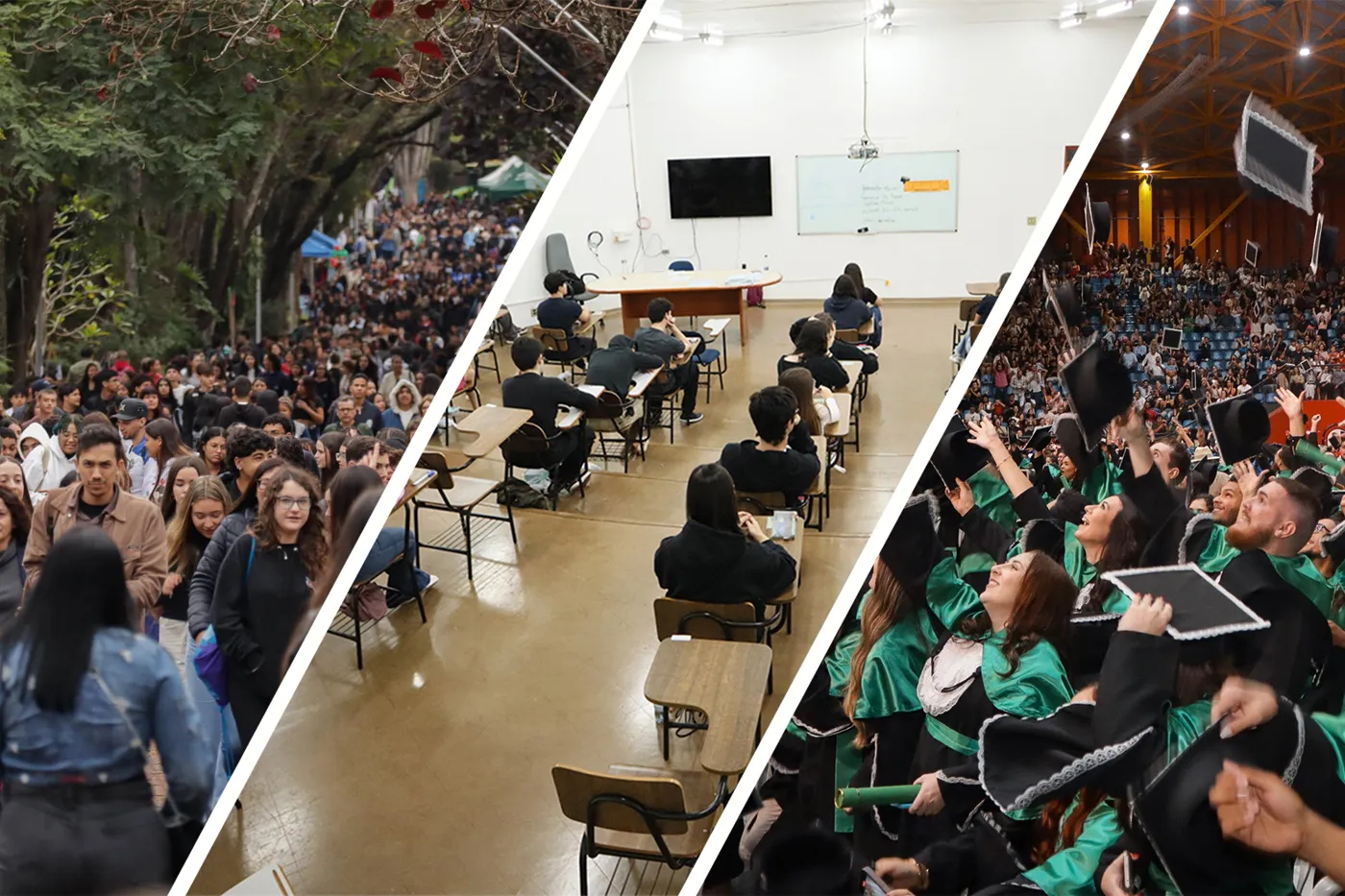 Banner image from the Londrina State University website