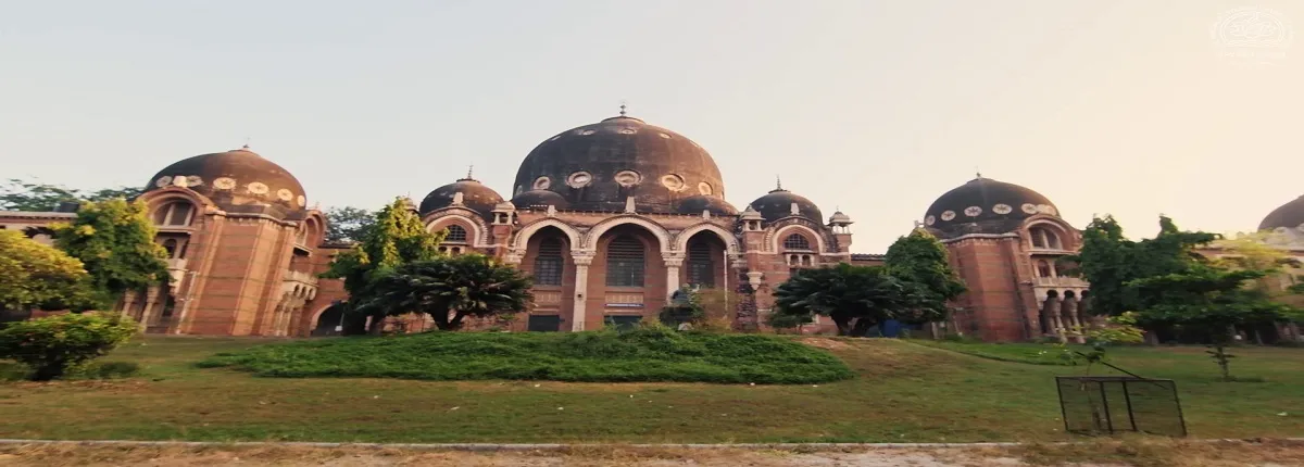 Banner image from the Maharaja Sayajirao University of Baroda website