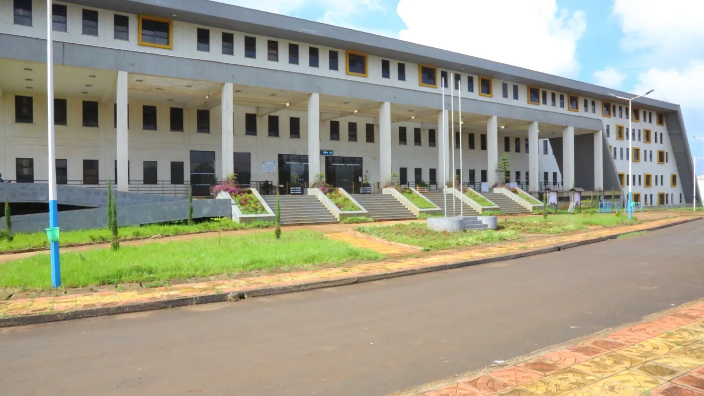 Banner image from the Mattu University website