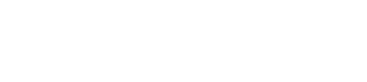 Nanyang Arts and Crafts Vocational College logo
