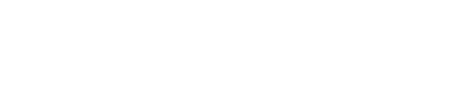 Nanyang Normal University logo