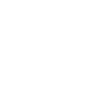 National University of Pilar logo