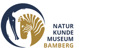 Naturkundemuseum Bamberg logo