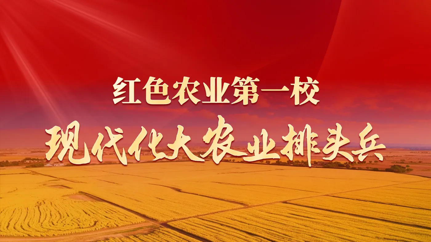 Banner image from the Northeast Agricultural University website