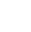 Northwest Polytechnical University Xi'an logo