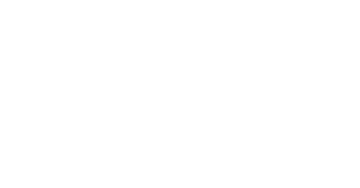 Paris School of Technology and Business logo
