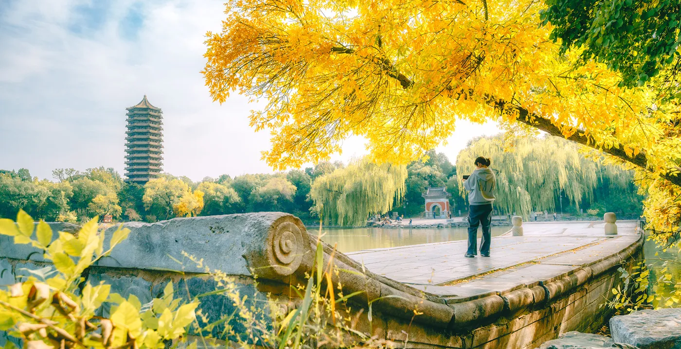 Banner image from the Peking University website