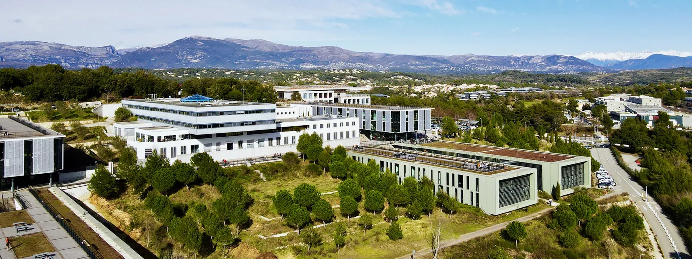 Banner image from the Polytech Nice Sophia website
