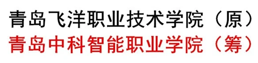 Qingdao Feiyang Vocational & Technical College logo