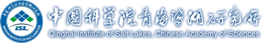 Qinghai Institute of Salt Lakes logo