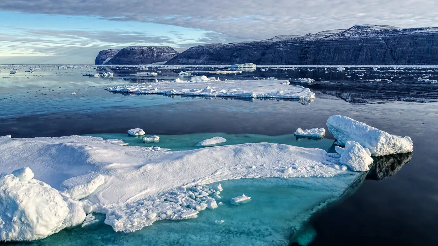 Banner image from the Québec-Océan website
