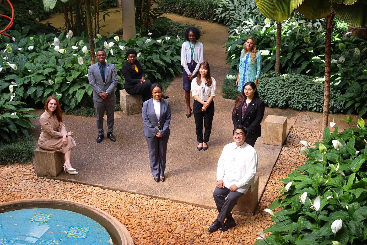 Banner image from the Rio Branco Institute website