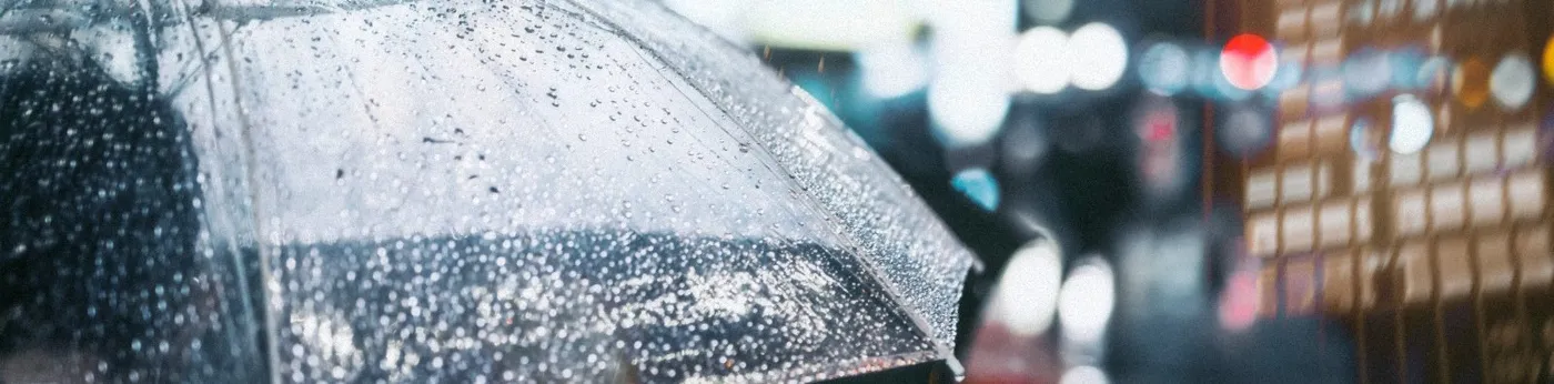 Banner image from the Rio de Janeiro State University website