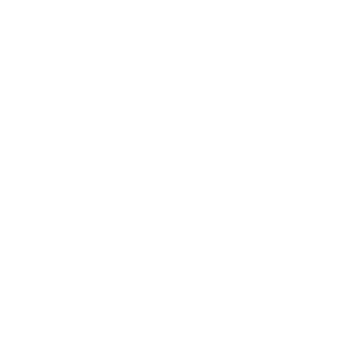 Shandong Cultural Industry Vocational College logo