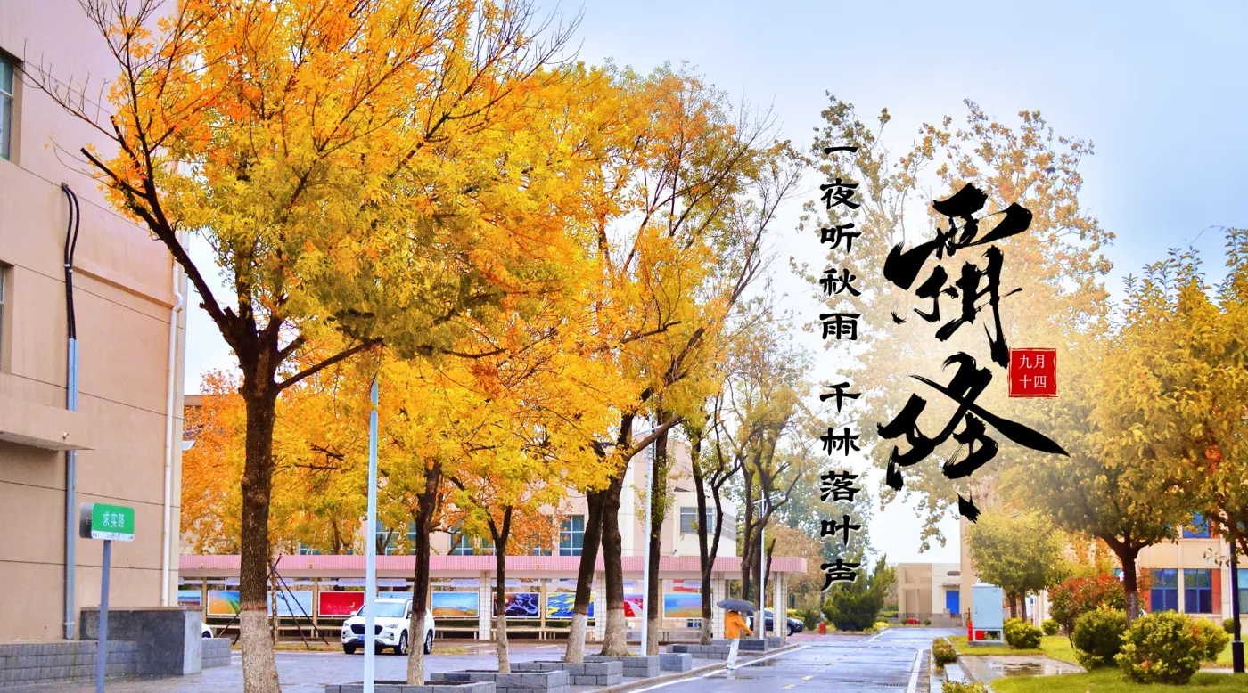 Banner image from the Shandong Institute of Petroleum and Chemical Technology website