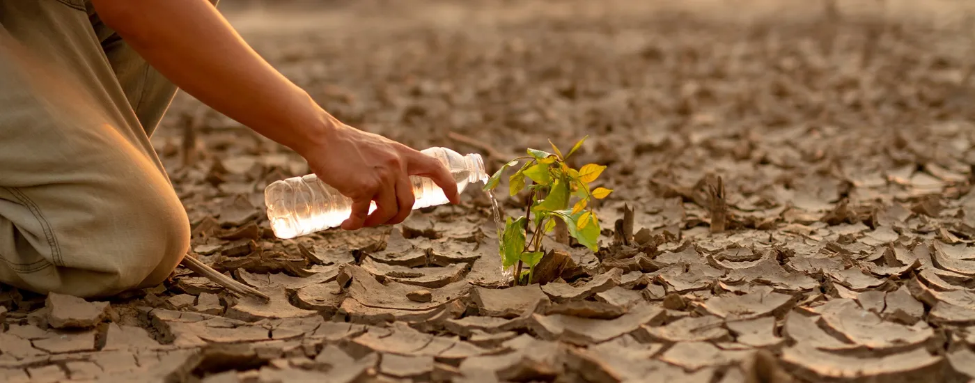 Banner image from the Sorbonne University website