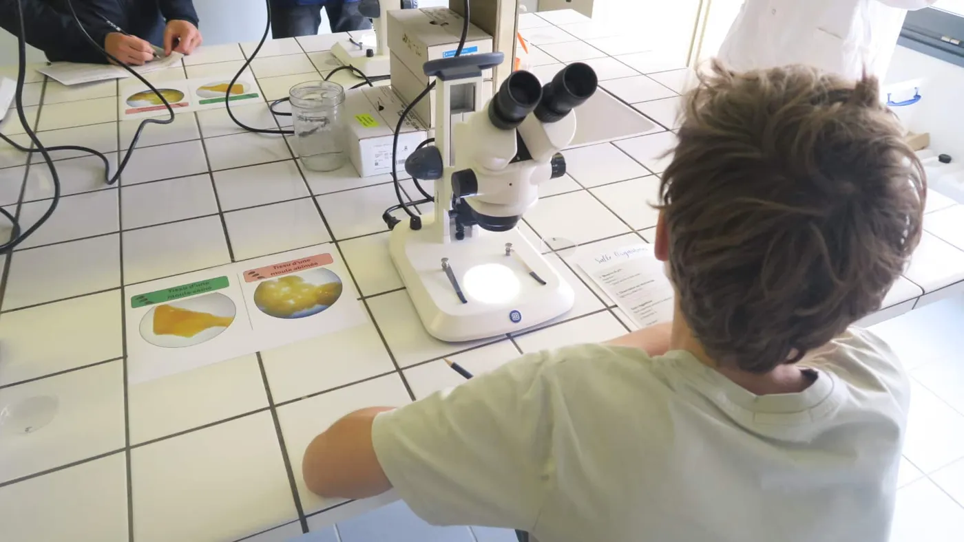 Banner image from the Terre des Sciences website
