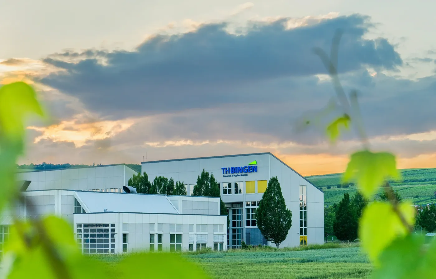 Banner image from the TH Bingen University of Applied Sciences website