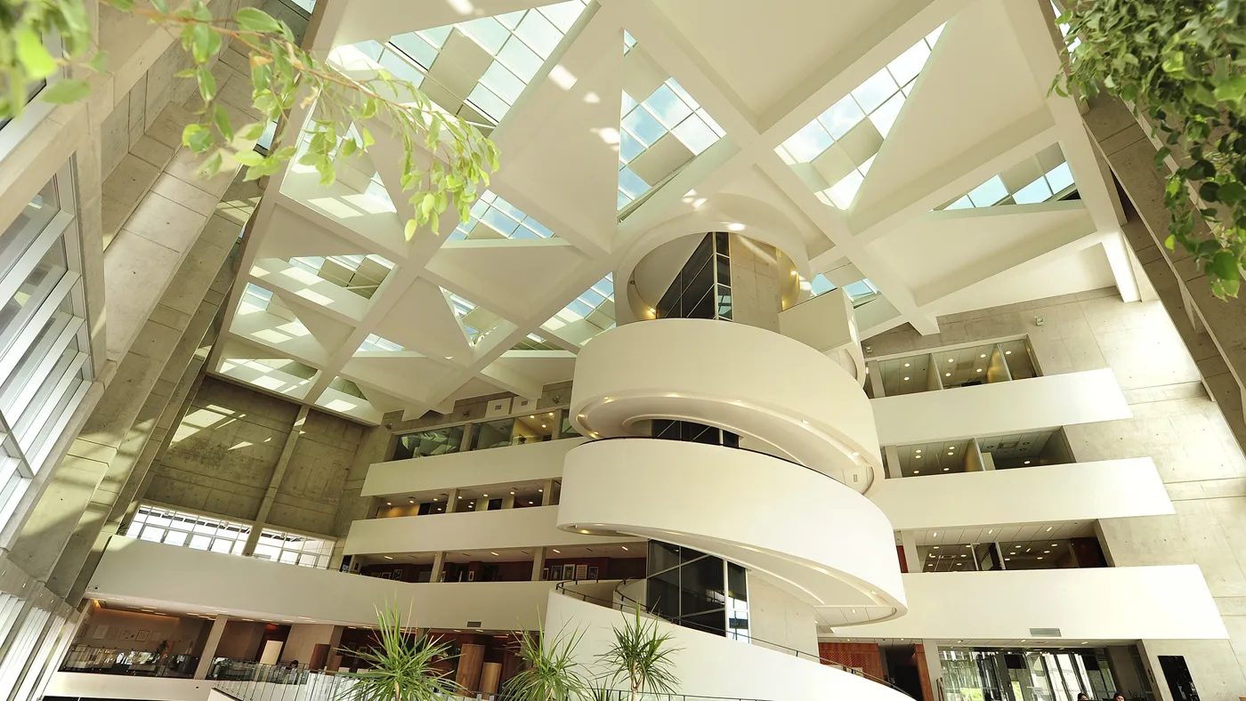 Banner image from the Universidad del Desarrollo website