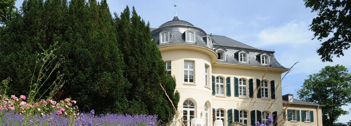 Banner image from the Université franco-allemande website