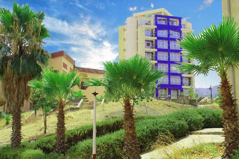 Banner image from the Université Mouloud Mammeri de Tizi Ouzou website