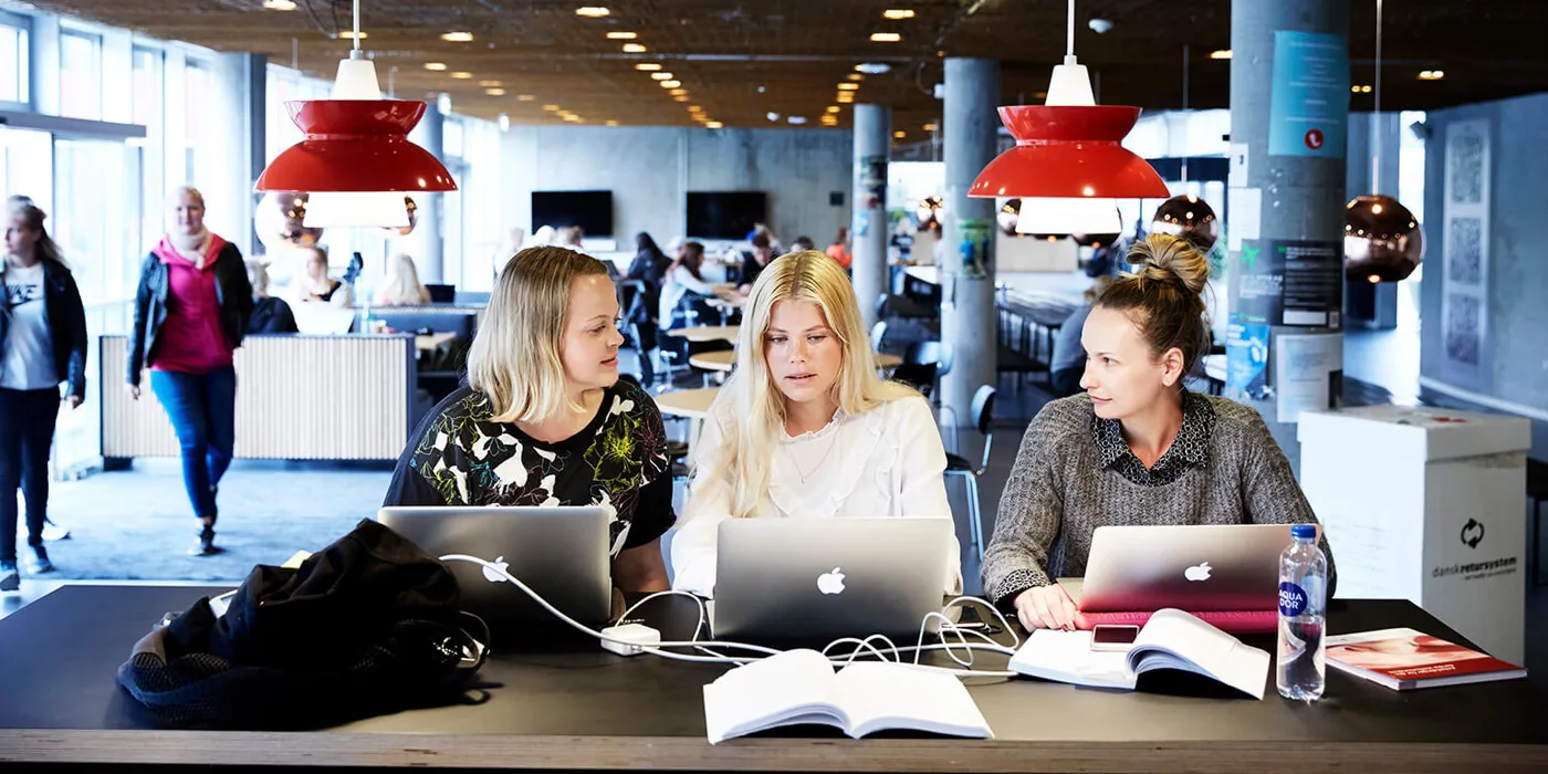 Banner image from the University College Copenhagen website