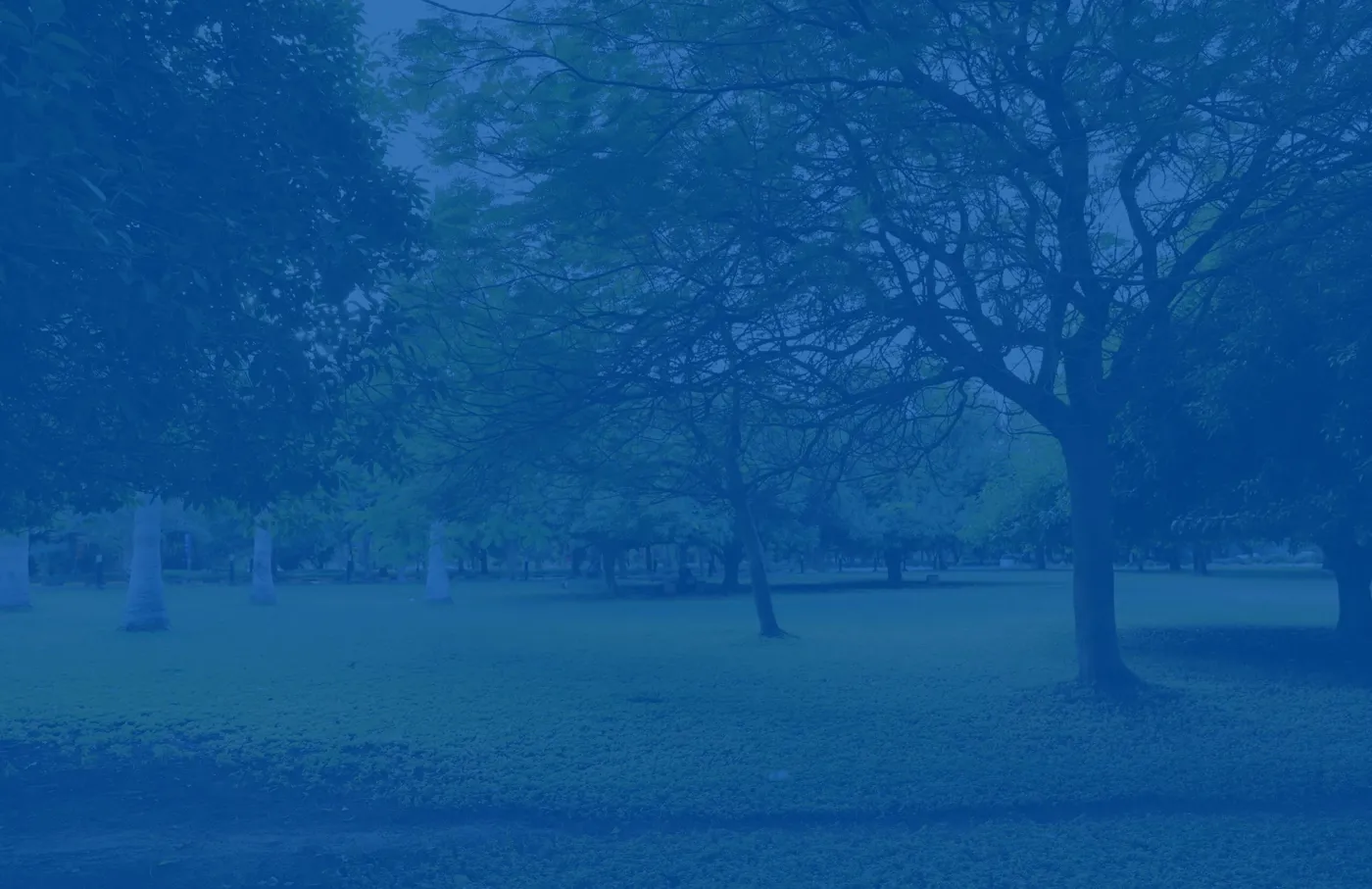 Banner image from the University of Bahrain website