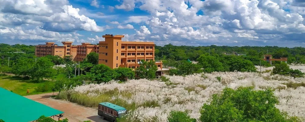Banner image from the University of Barishal website