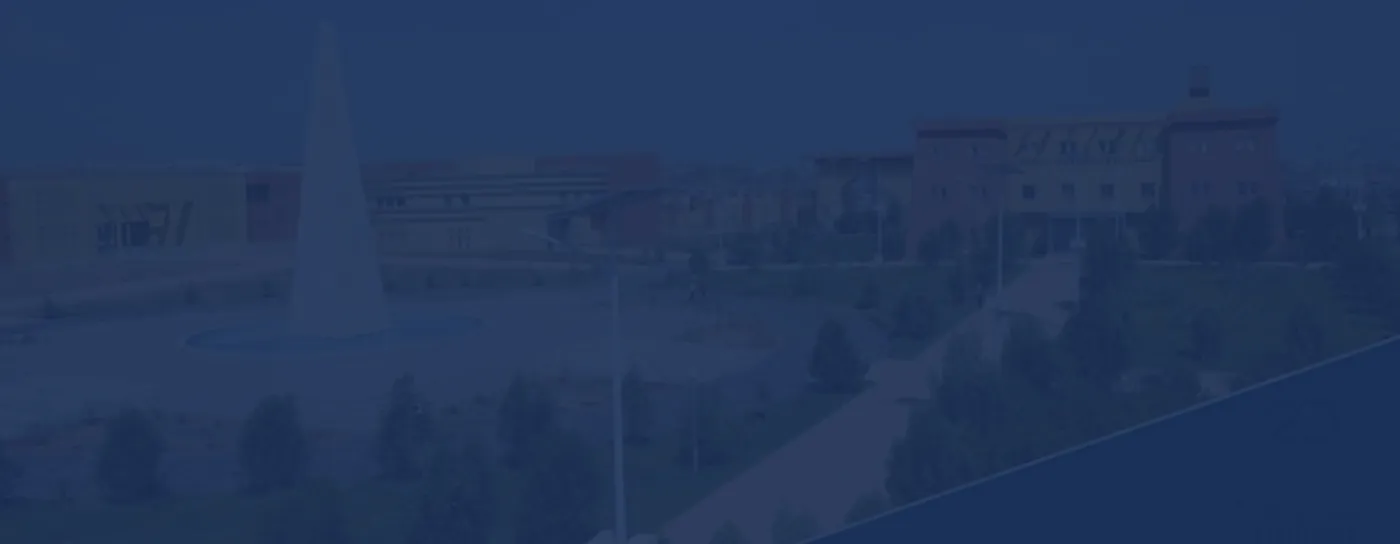 Banner image from the University of Djibouti website