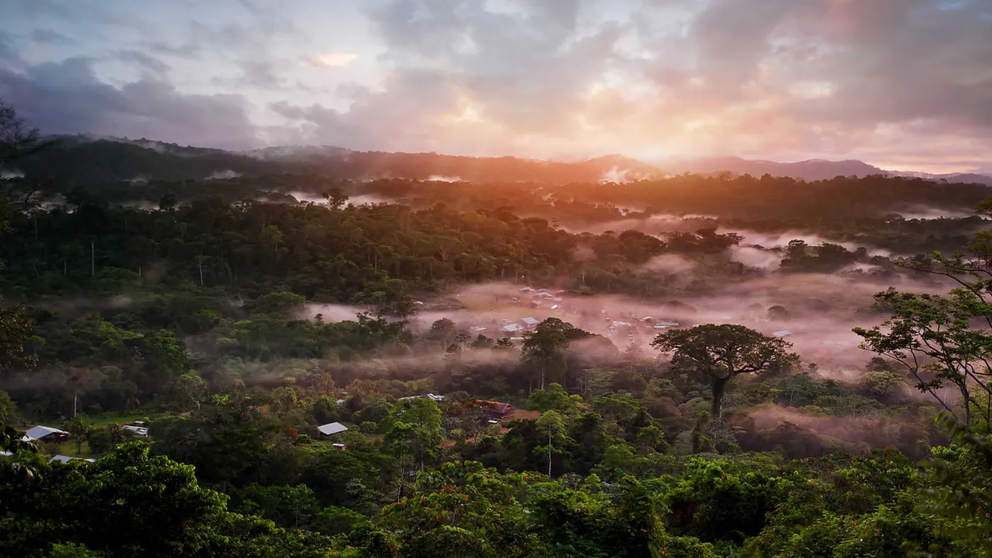 Banner image from the University of French Guiana website