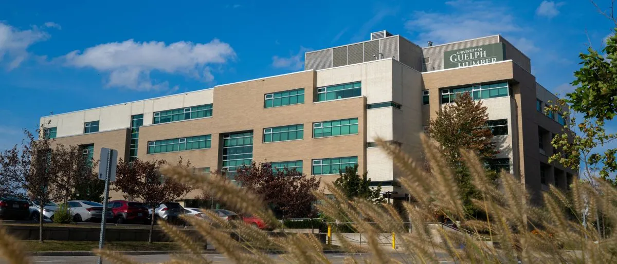 Banner image from the University of Guelph-Humber website
