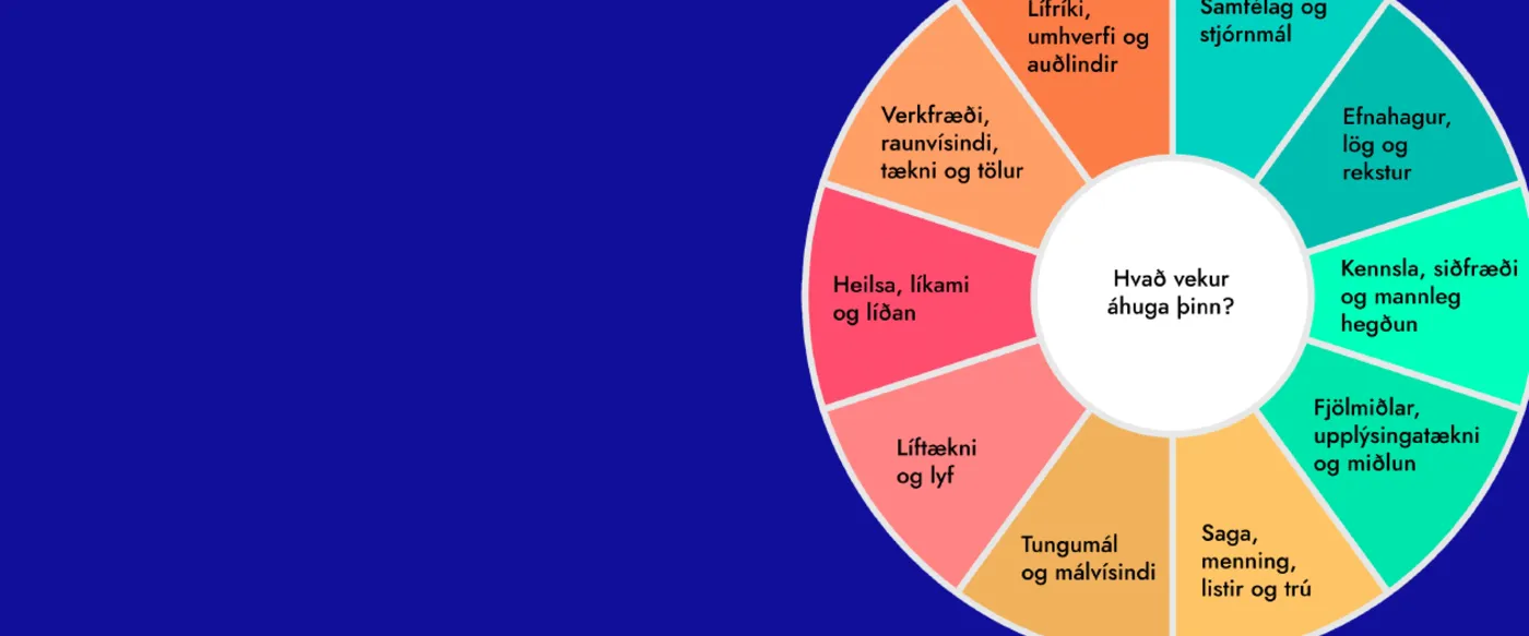 Banner image from the University of Iceland website
