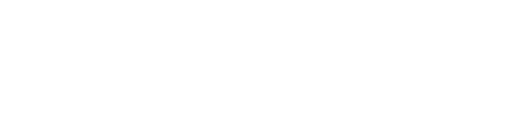 University of International Business and Economics logo