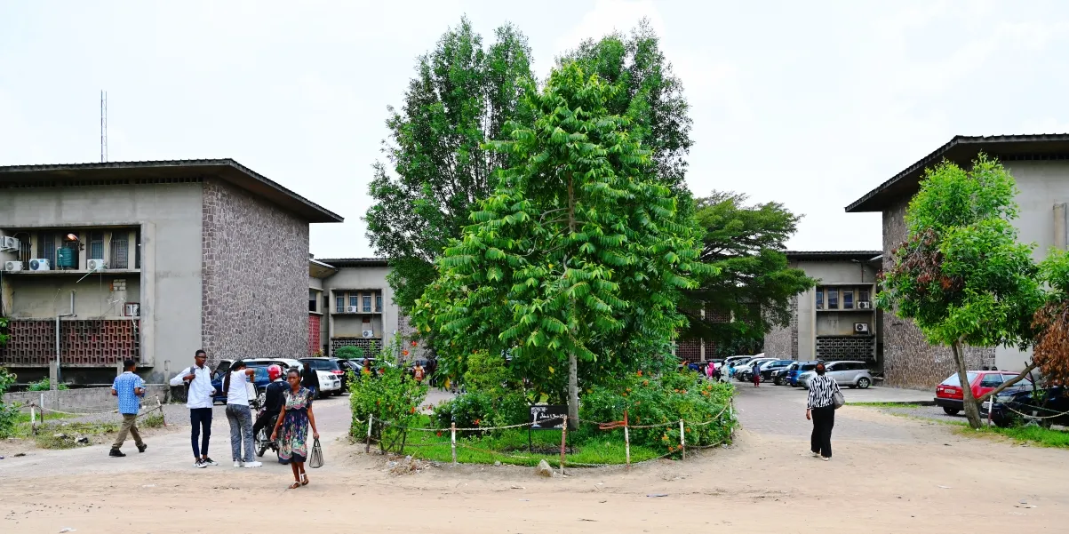 Banner image from the University of Kinshasa website
