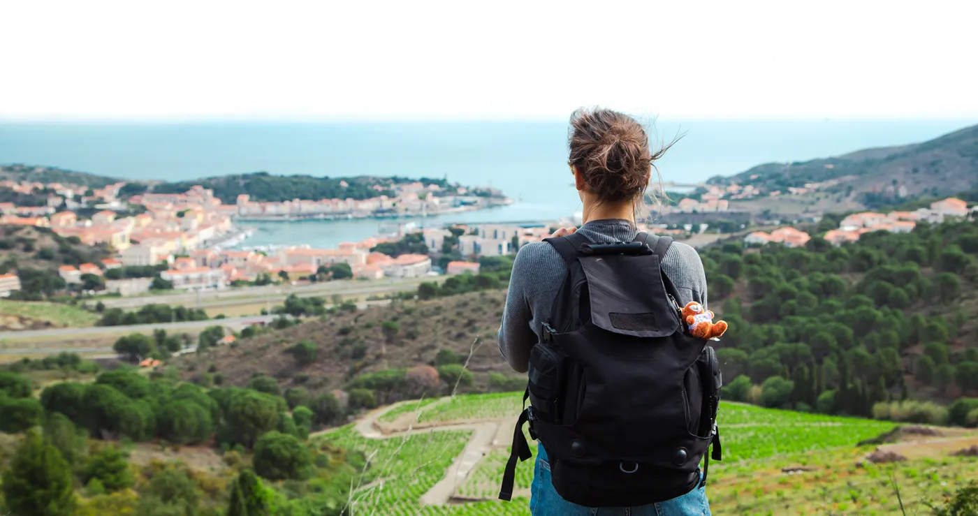 Banner image from the University of Perpignan website